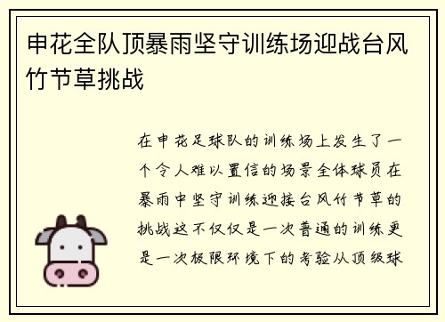 申花全队顶暴雨坚守训练场迎战台风竹节草挑战