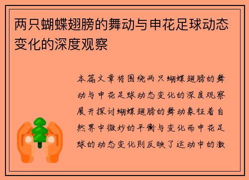 两只蝴蝶翅膀的舞动与申花足球动态变化的深度观察